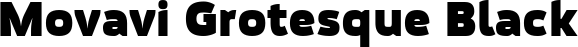 Movavi Grotesque Black font