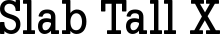 Slab Tall X font