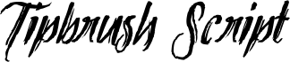 Tipbrush Script font