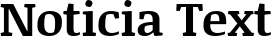 Noticia Text font