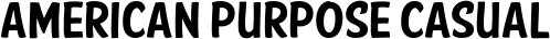 American Purpose Casual font