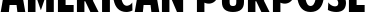 American Purpose font
