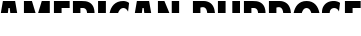 American Purpose font