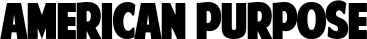 American Purpose font