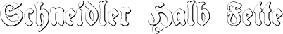Schneidler Halb Fette font
