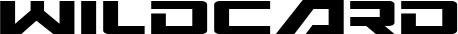 Wildcard font