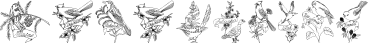 StateBirds font