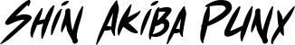 Shin Akiba Punx font