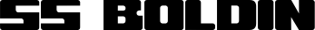 SS Boldin font