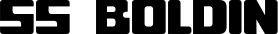 SS Boldin font