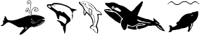 Orcas font