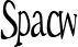 Spacw font