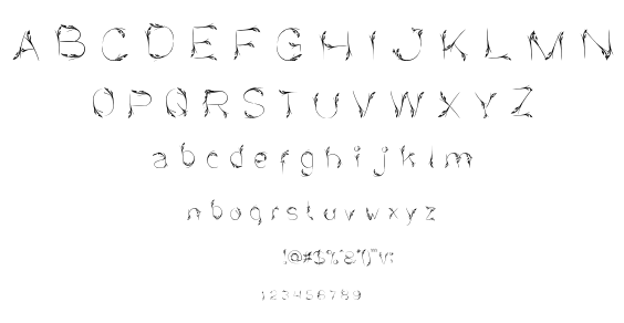 Bird Feather font