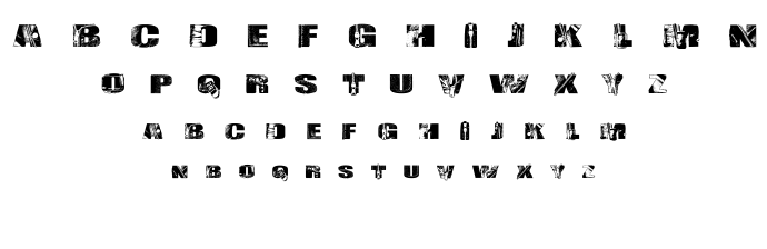 Leather font