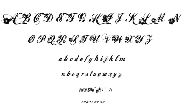 Hawaii Lover font