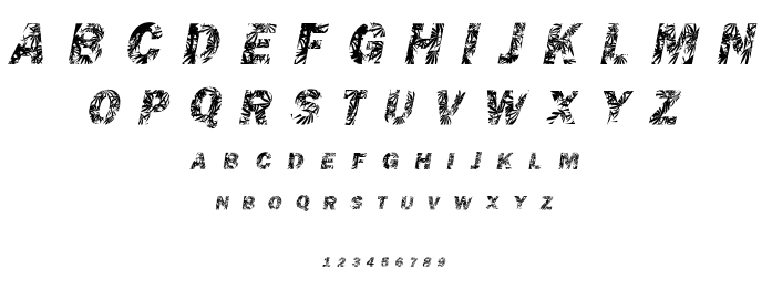 Chronic Gothic font