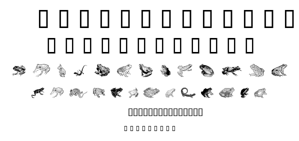 Amphibi Print font