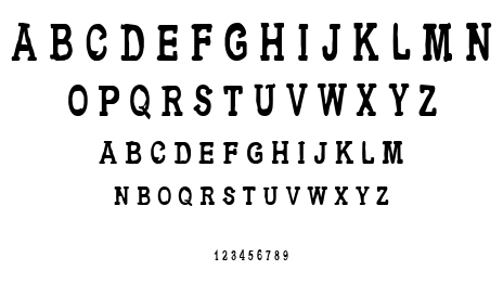 CF Metropolis Serif font