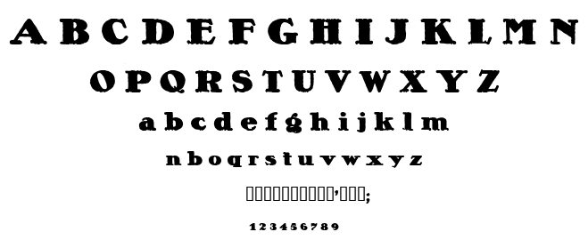 Lietz alexander ner font