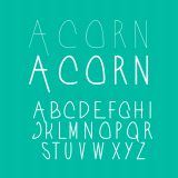 Acorn