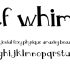 MTF Wildflower