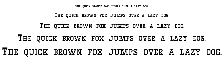 Winslett font