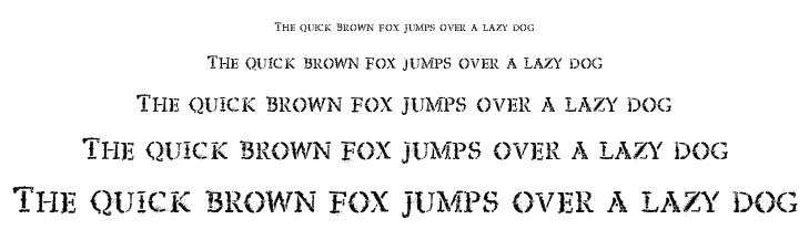 Vtks Expert font